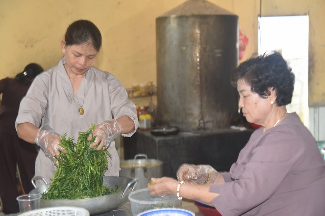 One-Day Peaceful Retreat at Dang Phap Pagoda, Binh Phuoc