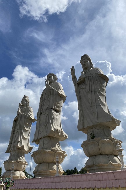 Donating to Bà Rịa - Vũng Tàu province’s Buddhist Intermediate School from NCT Education Talent Monk Fund