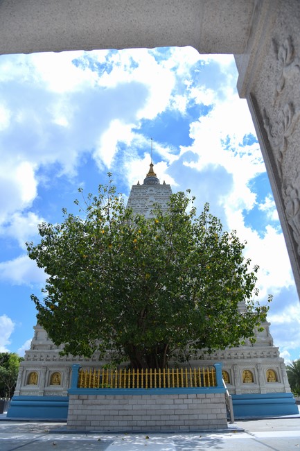 Donating to Tien Giang province’s Buddhist Intermediate - College  School from NCT Education Talent Monk Fund