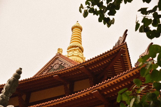 Donating to Law Propagation Class at Hue Nghiem Pagoda from NCT Education Talent Monk Fund