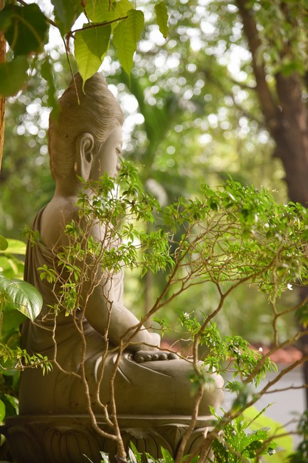 Donating to Law Propagation Class at Hue Nghiem Pagoda from NCT Education Talent Monk Fund