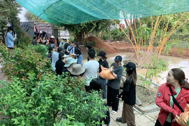 One-Day Peaceful Retreat at Suoi Phap Pagoda