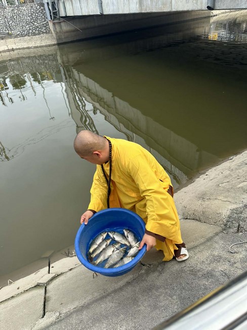 Opening the Infinite Life Sutra on the occasion of Amitabha Buddha Birthday at Dong Cao Pagoda - Thanh Hoa