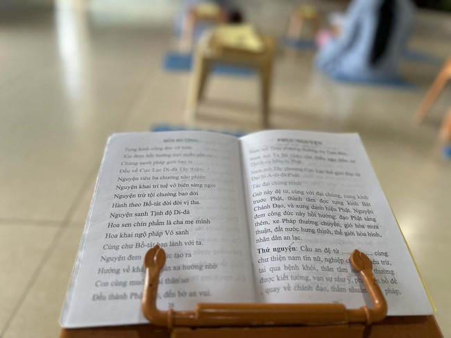 Opening the Infinite Life Sutra on the occasion of Amitabha Buddha Birthday at Dong Cao Pagoda - Thanh Hoa