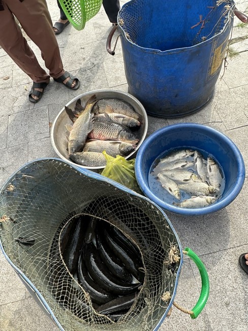 Opening the Infinite Life Sutra on the occasion of Amitabha Buddha Birthday at Dong Cao Pagoda - Thanh Hoa