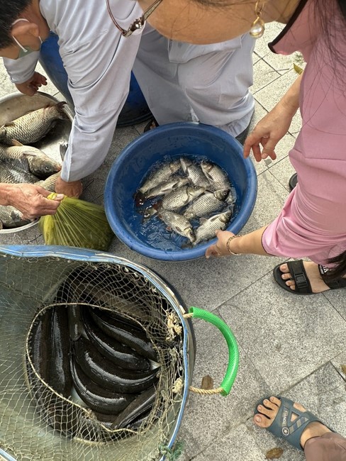Opening the Infinite Life Sutra on the occasion of Amitabha Buddha Birthday at Dong Cao Pagoda - Thanh Hoa