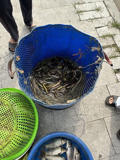 Opening the Infinite Life Sutra on the occasion of Amitabha Buddha Birthday at Dong Cao Pagoda - Thanh Hoa