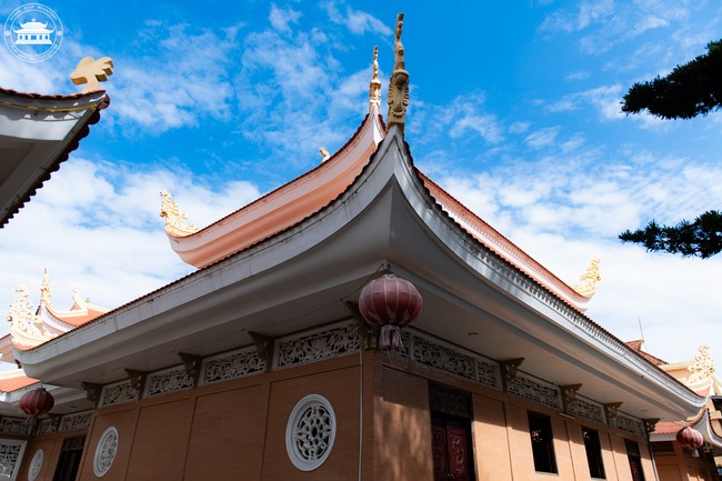 Dharma talk Don't sell our life cheap in the 101st Seven-day Retreat