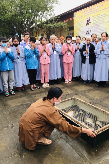 One - Day Retreat at Dong Cao pagoda
