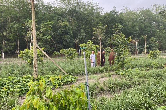 Repentant ceremony on Jan. 29th, Year of the Cat at     Suoi Phap Pagoda