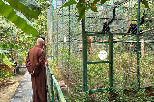 Handing over tortoises and pigeons at Dau Tieng Wildlife Conservation Station, Binh Duong