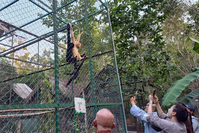 Handing over tortoises and pigeons at Dau Tieng Wildlife Conservation Station, Binh Duong