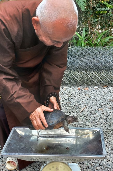 Handing over tortoises and pigeons at Dau Tieng Wildlife Conservation Station, Binh Duong