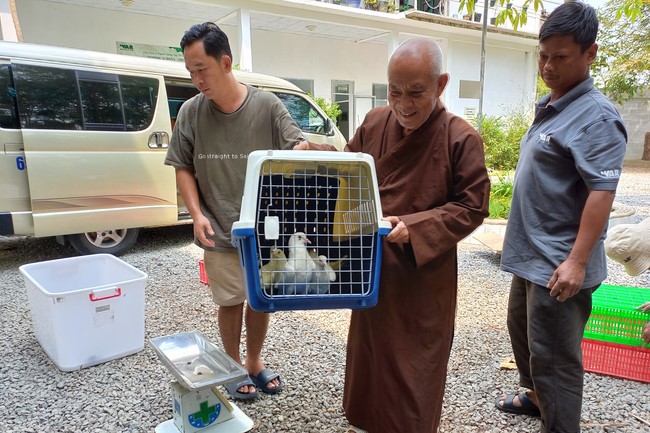 Handing over tortoises and pigeons at Dau Tieng Wildlife Conservation Station, Binh Duong