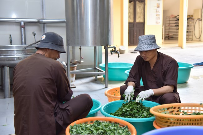 Tu niệm Phật một ngày