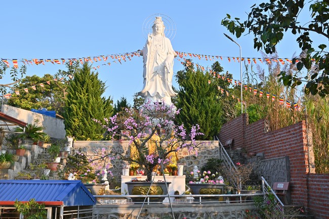 Preaching dharma at Son Phap pagoda in the sixth day of propagation trip in the Northern