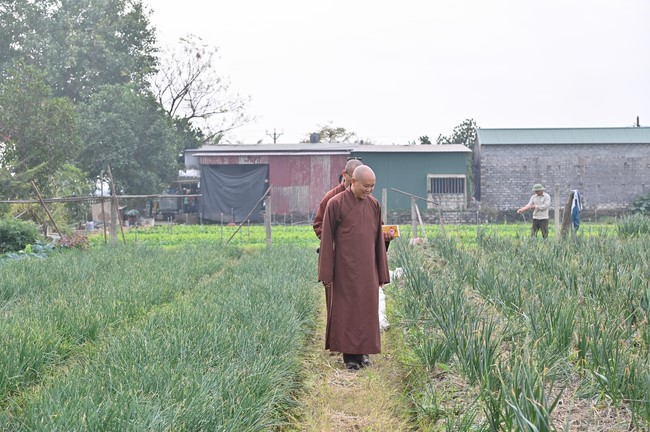 Preaching dharma at Co Tan pagoda and Ha Phu pagoda in the seventh day of propagation trip in the Northern