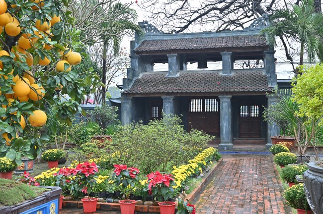 Preaching dharma at Bich Thuong pagoda and TayKhanh pagoda in the eighth day of propagation trip in the Northern