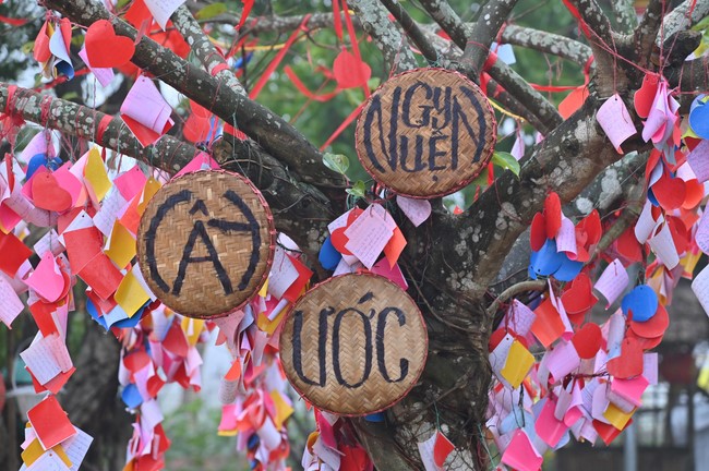 Ngày thứ chín, chuyến Phật sự miền Bắc, giảng pháp tại chùa Đống Cao – chùa Càn Môn