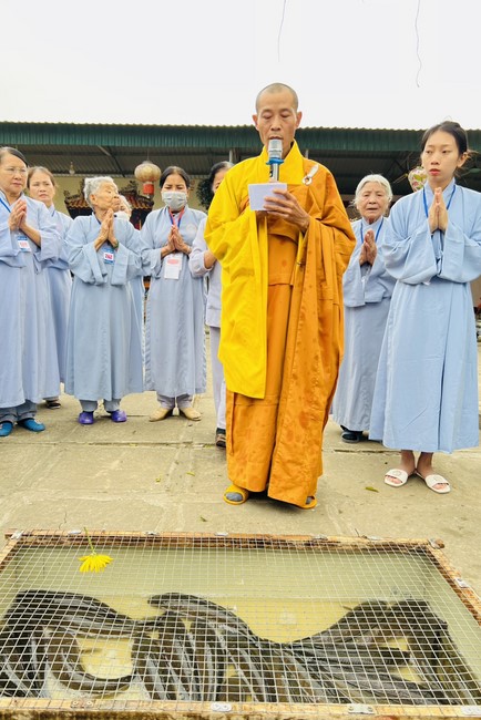 One - Day Retreat at Dong Cao pagoda,  Thanh Hoa