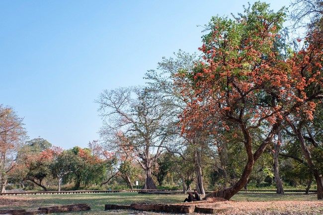 Chùa Hòa Phúc – Hà Nội: Khoá tu học “Về Miền Đất Phật”