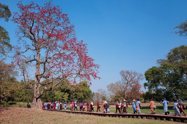 Chùa Hòa Phúc – Hà Nội: Khoá tu học “Về Miền Đất Phật”