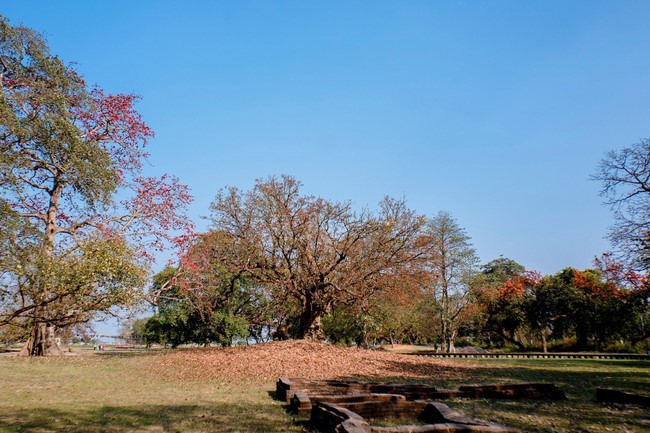 Chùa Hòa Phúc – Hà Nội: Khoá tu học “Về Miền Đất Phật”