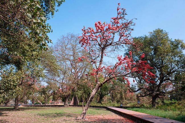 Chùa Hòa Phúc – Hà Nội: Khoá tu học “Về Miền Đất Phật”