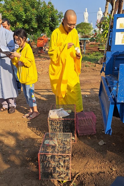 One-Day Peaceful Retreat at Tam Phap Pagoda, Binh Phuoc