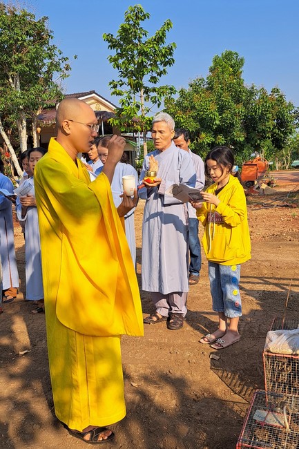 One-Day Peaceful Retreat at Tam Phap Pagoda, Binh Phuoc