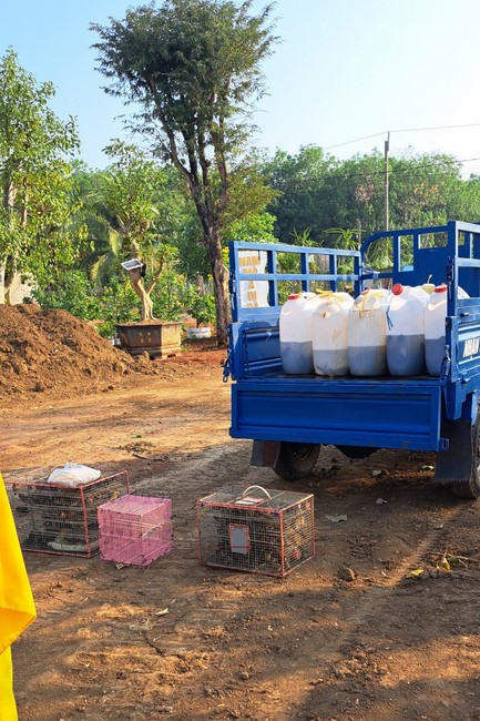 One-Day Peaceful Retreat at Tam Phap Pagoda, Binh Phuoc