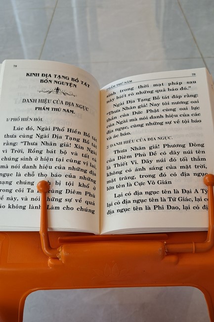 One-Day Peaceful Retreat at Tam Phap Pagoda, Binh Phuoc