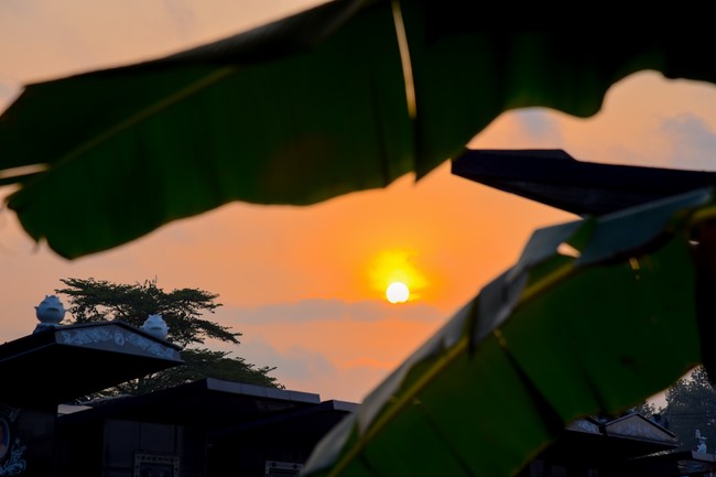 Second day of Retreat Establishing communication in the family - Solving knots, reconnecting deep love of Plum Village.