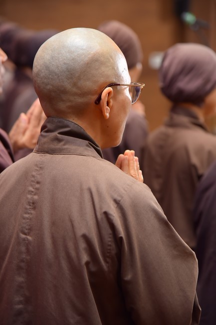 Second day of Retreat Establishing communication in the family - Solving knots, reconnecting deep love of Plum Village.