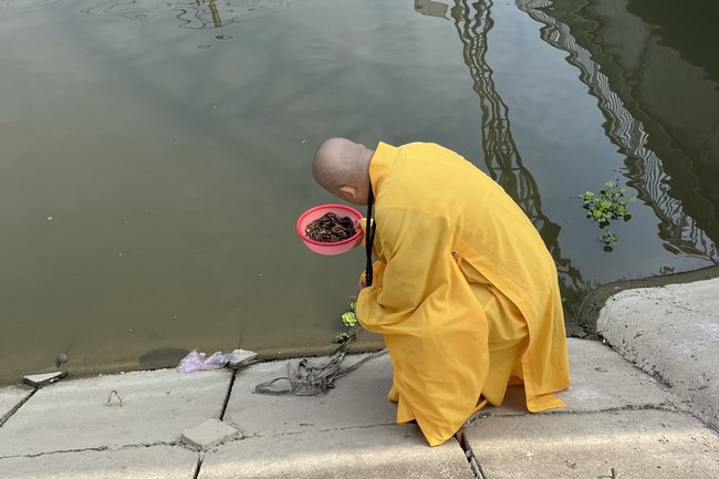 Chùa Đống Cao – Thanh Hóa: Khóa tu một ngày và thiện sự nhân ngày đầu tháng