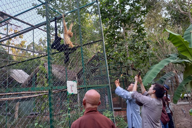 Handing over tortoises at Dau Tieng Wildlife Conservation Station, Binh Duong