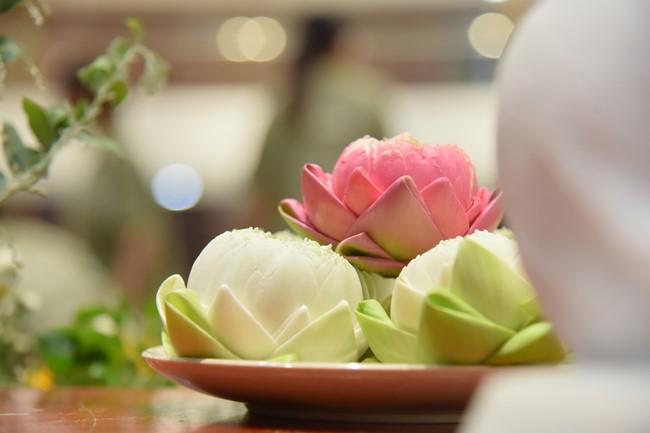 One Day Retreat for Student