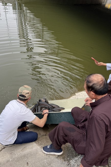 Charity on Shakyamuni Buddha commemoration entering Nirvana, and prostrating five hundred names at Dong Cao Pagoda