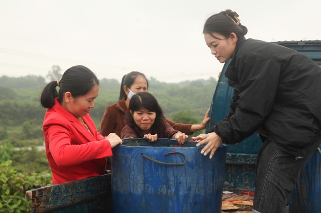 Giving books to Tan Lam Huong Kindergarten and creature freeing of Giai Lam Pagoda - Ha Tinh