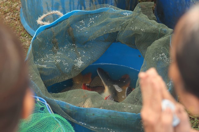 Giving books to Tan Lam Huong Kindergarten and creature freeing of Giai Lam Pagoda - Ha Tinh