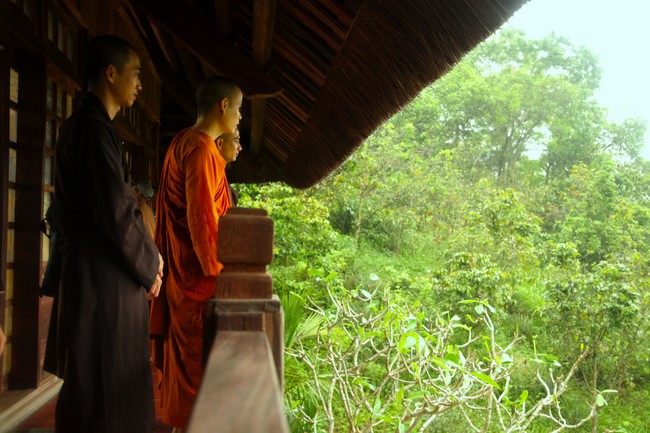 Pilgrimage, visit the scenic spots in Quang Binh - Hue of Giai Lam Pagoda - Ha Tinh