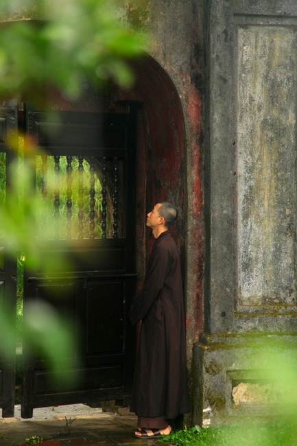 Pilgrimage, visit the scenic spots in Quang Binh - Hue of Giai Lam Pagoda - Ha Tinh