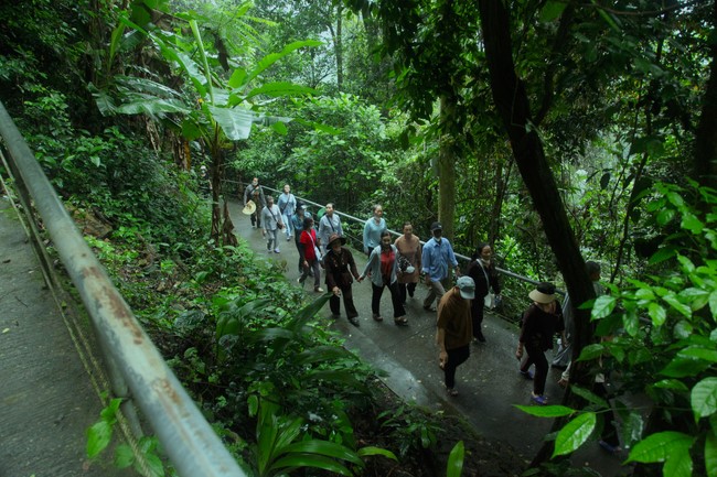 Pilgrimage, visit the scenic spots in Quang Binh - Hue of Giai Lam Pagoda - Ha Tinh