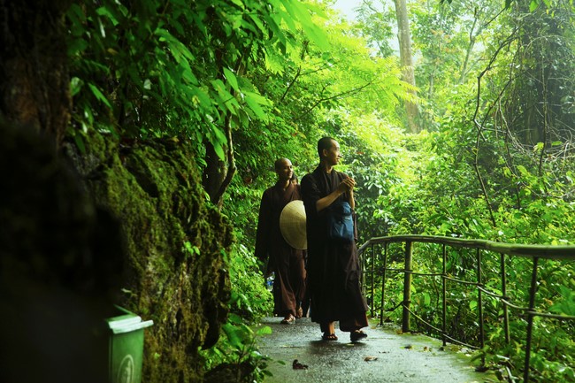 Pilgrimage, visit the scenic spots in Quang Binh - Hue of Giai Lam Pagoda - Ha Tinh