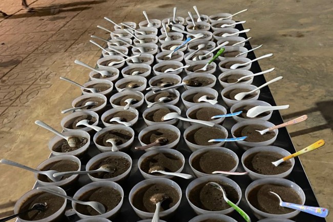 Repentant ceremony on (intercalary) Feb. 29th, Year of the Cat at  Suoi Phap Pagoda, Tay Ninh