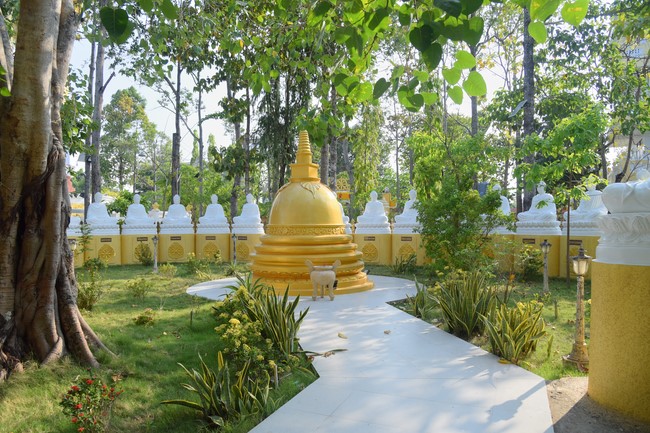 Visiting and exchanging Buddhist culture at Hoang Phap pagoda of Doctors of Buddhist Studies Thailand - India