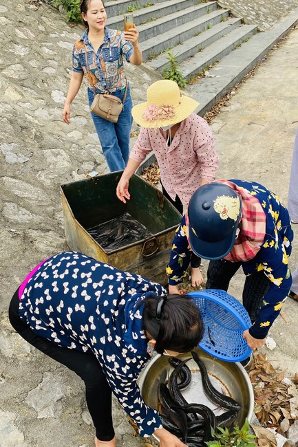 Chanting and the charity on the lunar full moon day at Dong Cao Pagoda