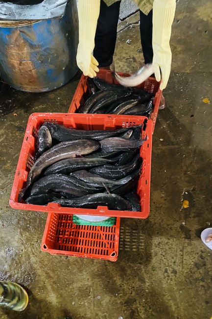Chanting and the charity on the lunar full moon day at Dong Cao Pagoda