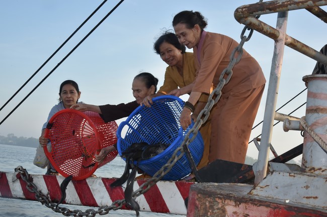 Đạo tràng Minh Chất, Cần Thơ: Khóa Tu niệm Phật một ngày - lần thứ 2
