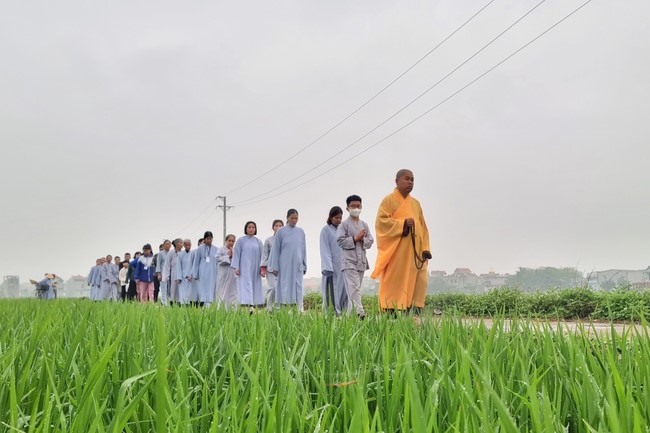 Chùa Đống Cao – Thanh Hóa: Khóa tu niệm Phật một ngày – Lễ Quy y Tam bảo (lần 1)
